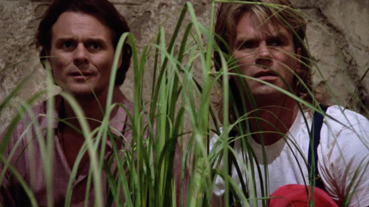 5×06 Il ritorno di Murdoc
