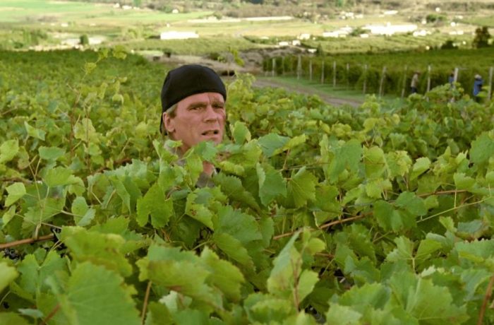 Terra Ribelle: I 5 Progetti (Italiani e non) Degni di MacGyver per Rigenerare il Pianeta